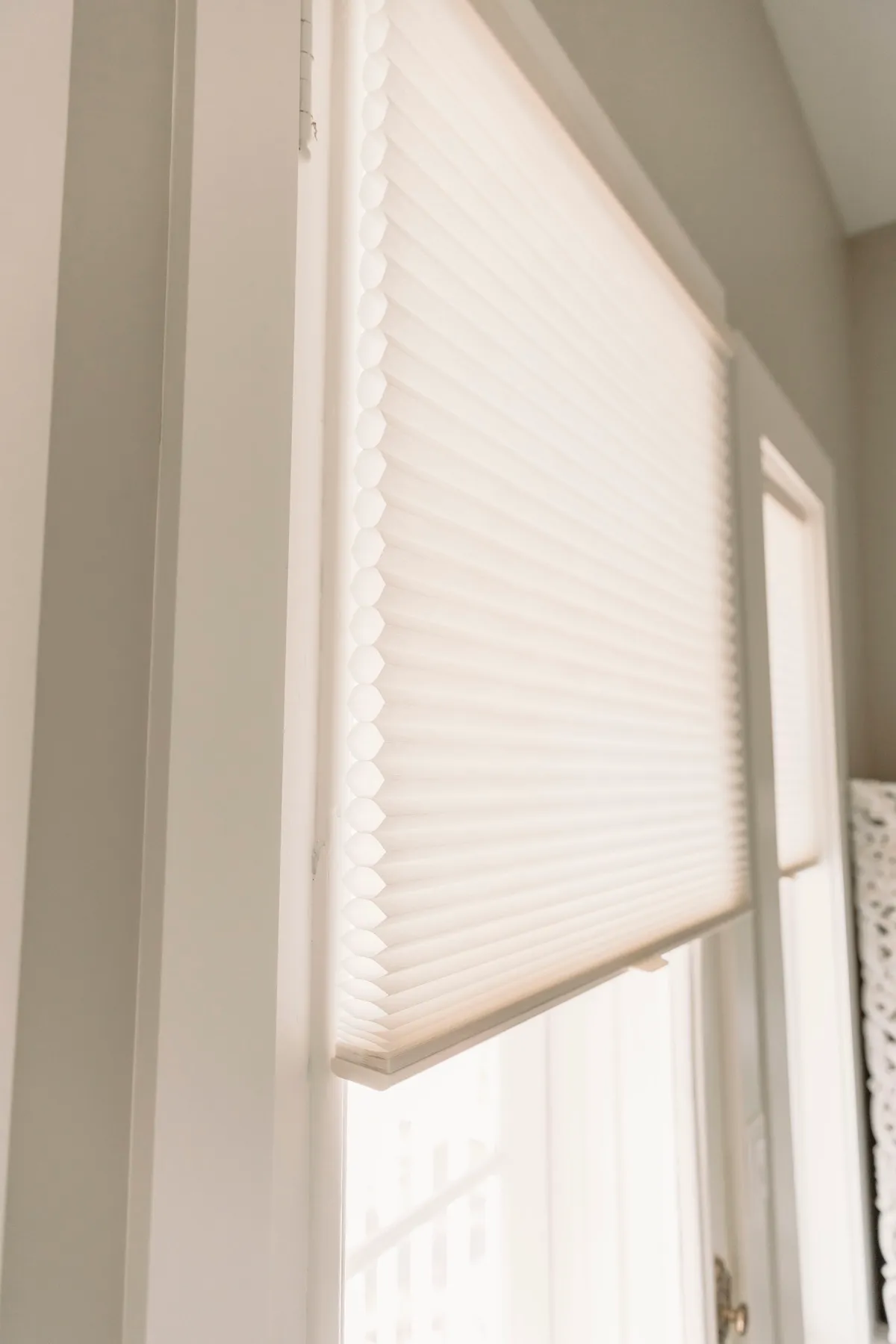 Close-up of a light-filtering cellular shade