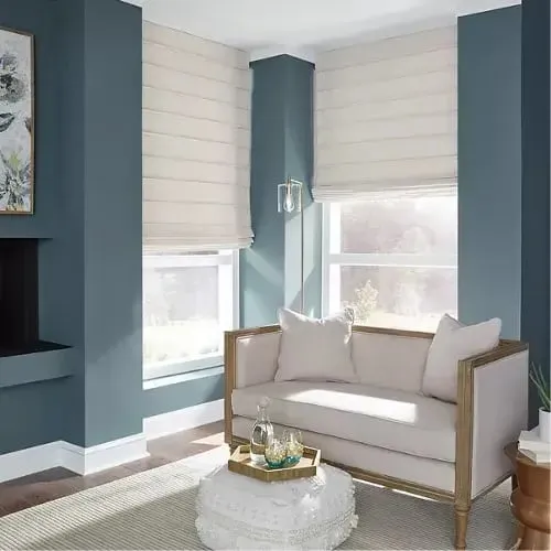 Carole Roman shades on two windows in a sitting room