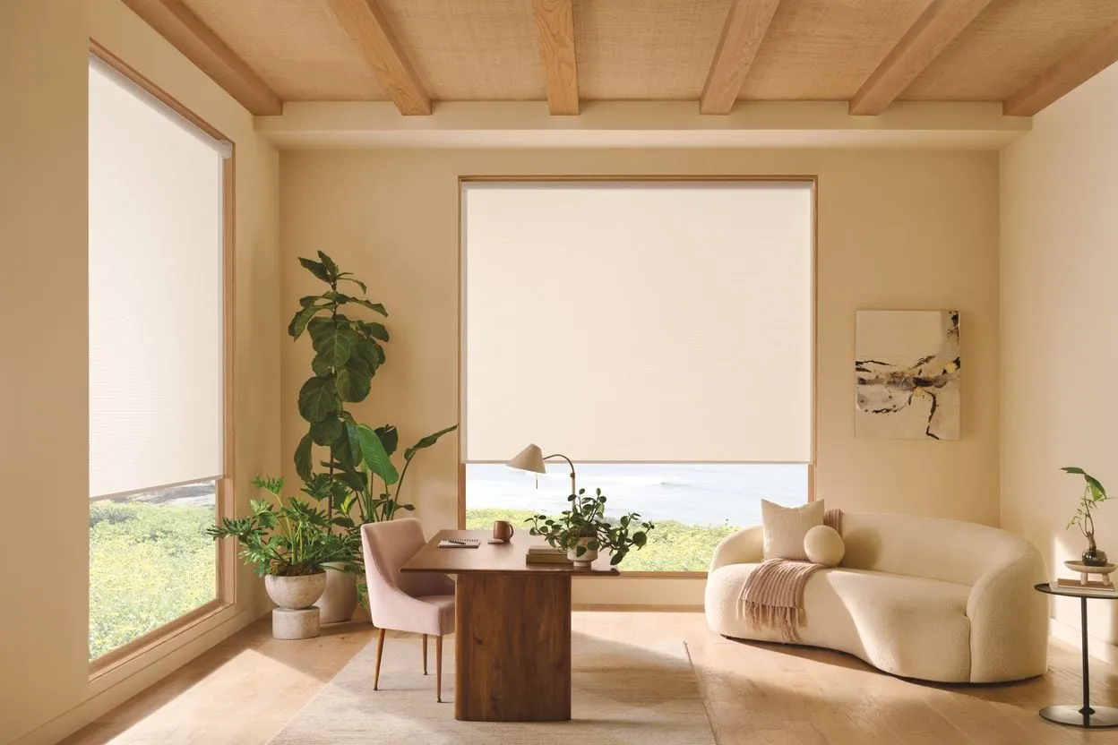 The same room with Designer roller shades