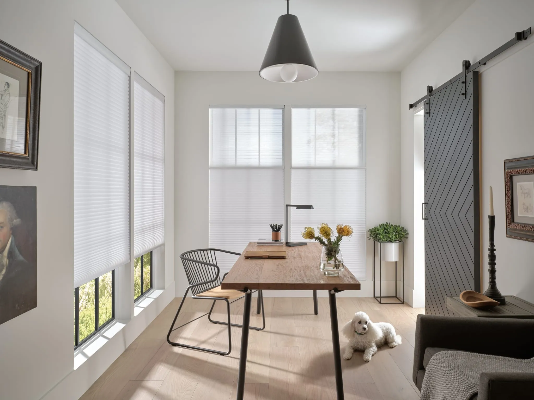 Duette® honeycomb shades in a bright home office