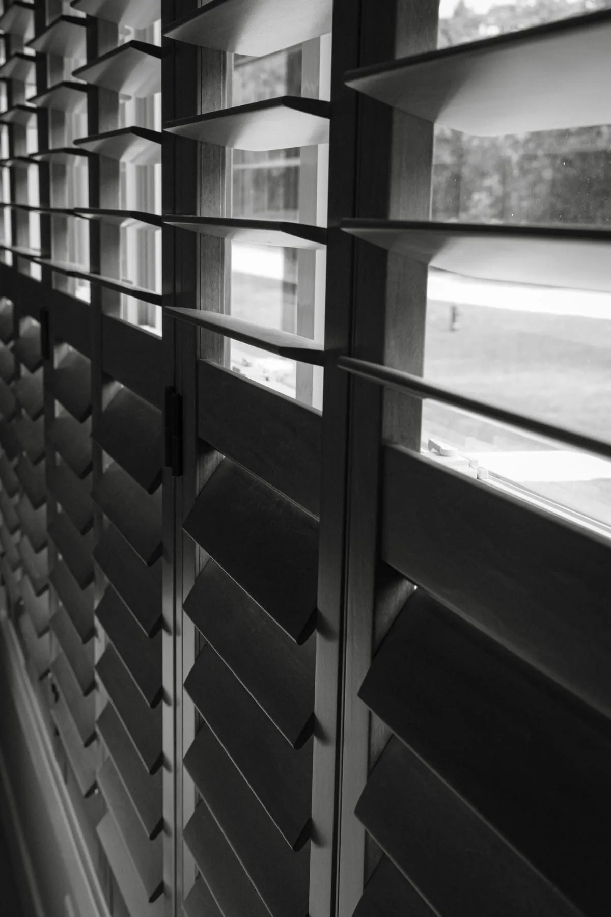 Dark shutters with the louvers open to the yard