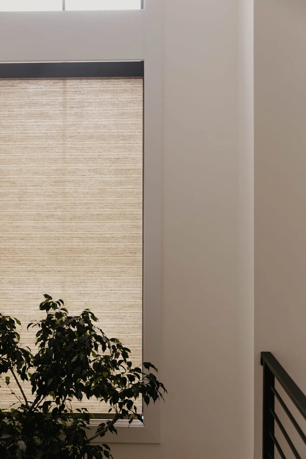 Natural woven shade beside a potted tree