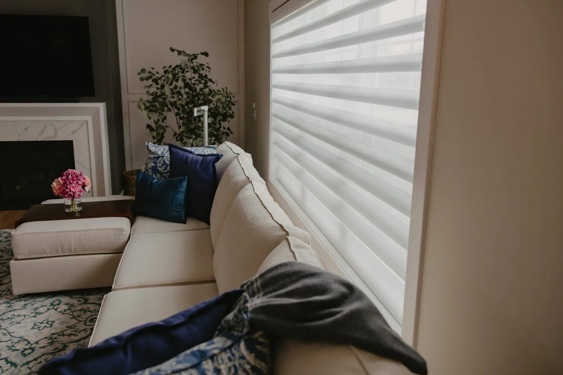 Sheer shade on a tall window beside a living room sofa