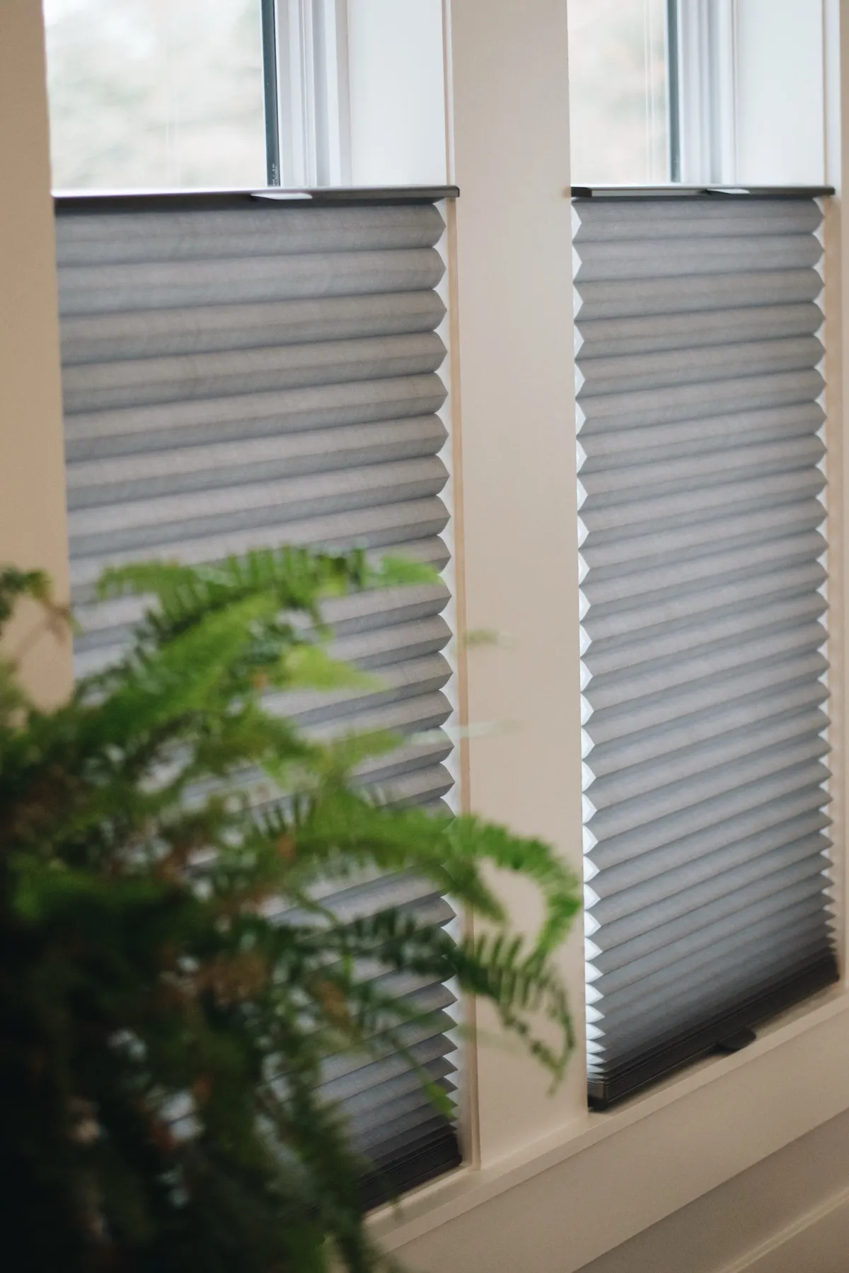 Tall windows with cellular shades lowered from the top