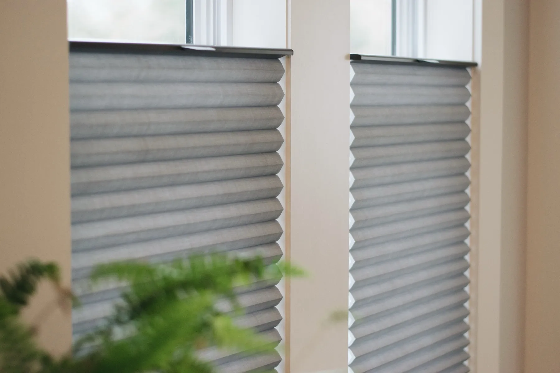 Row of windows with top-down cellular shades
